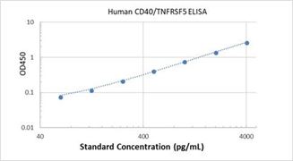Picture of Human CD40/TNFRSF5 ELISA Kit
