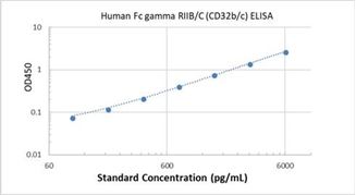 Picture of Human Fc gamma RIIB/C (CD32b/c) ELISA Kit