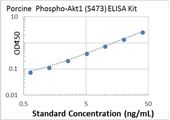 Picture of Porcine Phospho-Akt1 (S473) ELISA Kit