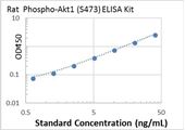 Picture of Rat Phospho-Akt1 (S473) ELISA Kit