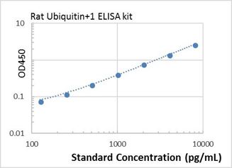 Picture of Rat Ubiquitin+1 ELISA Kit 