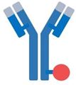 Picture for category Conjugated Antibodies