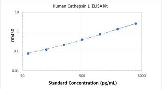 Picture of Human Cathepsin L ELISA Kit