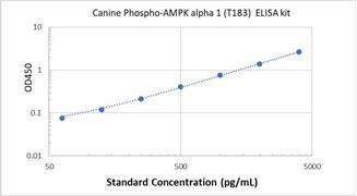 Picture of Canine Phospho-AMPK alpha 1 (T183) ELISA Kit 