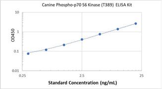 Picture of Canine Phospho-p70 S6 Kinase (T389) ELISA Kit 