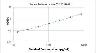 Picture of Human Aminoacylase/ACY1 ELISA Kit