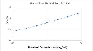 Picture of Human Total AMPK alpha 1 ELISA Kit 