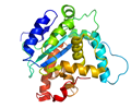 Picture for category Proteins and Peptides